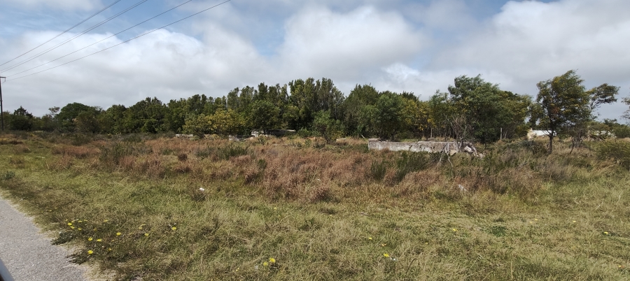 0 Bedroom Property for Sale in Greenbushes Eastern Cape